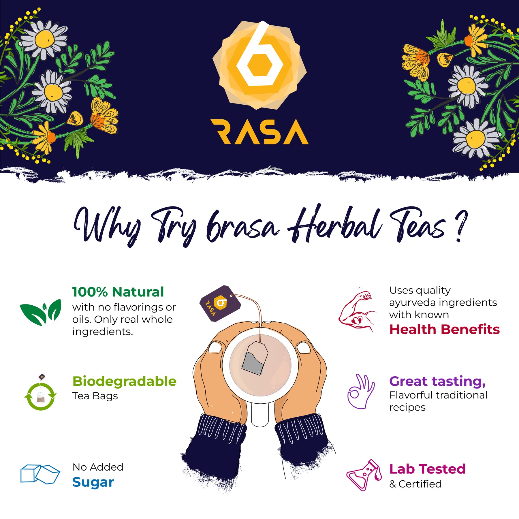 6rasa Kashaya - Herbal Tea (2.5 g Each, 10 Dip Bags)
